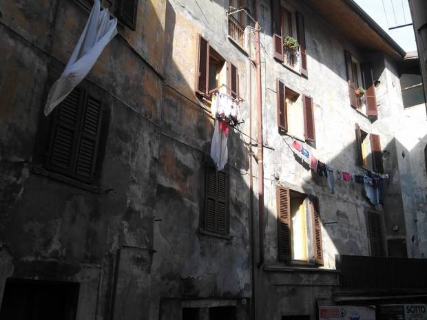 11329854_10205910499095058_959017196900560518_n