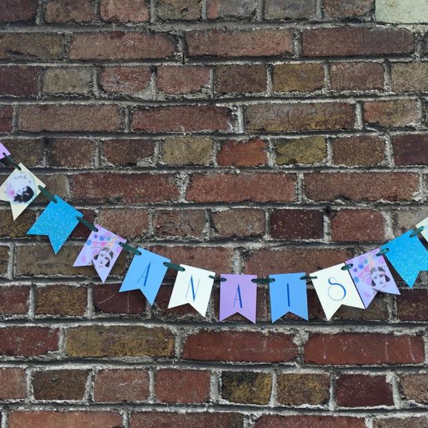 19964670_10203838111030397_1337522026_n